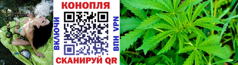 где найти   Железногорск-Илимский  Шишки марихуана AK-47 